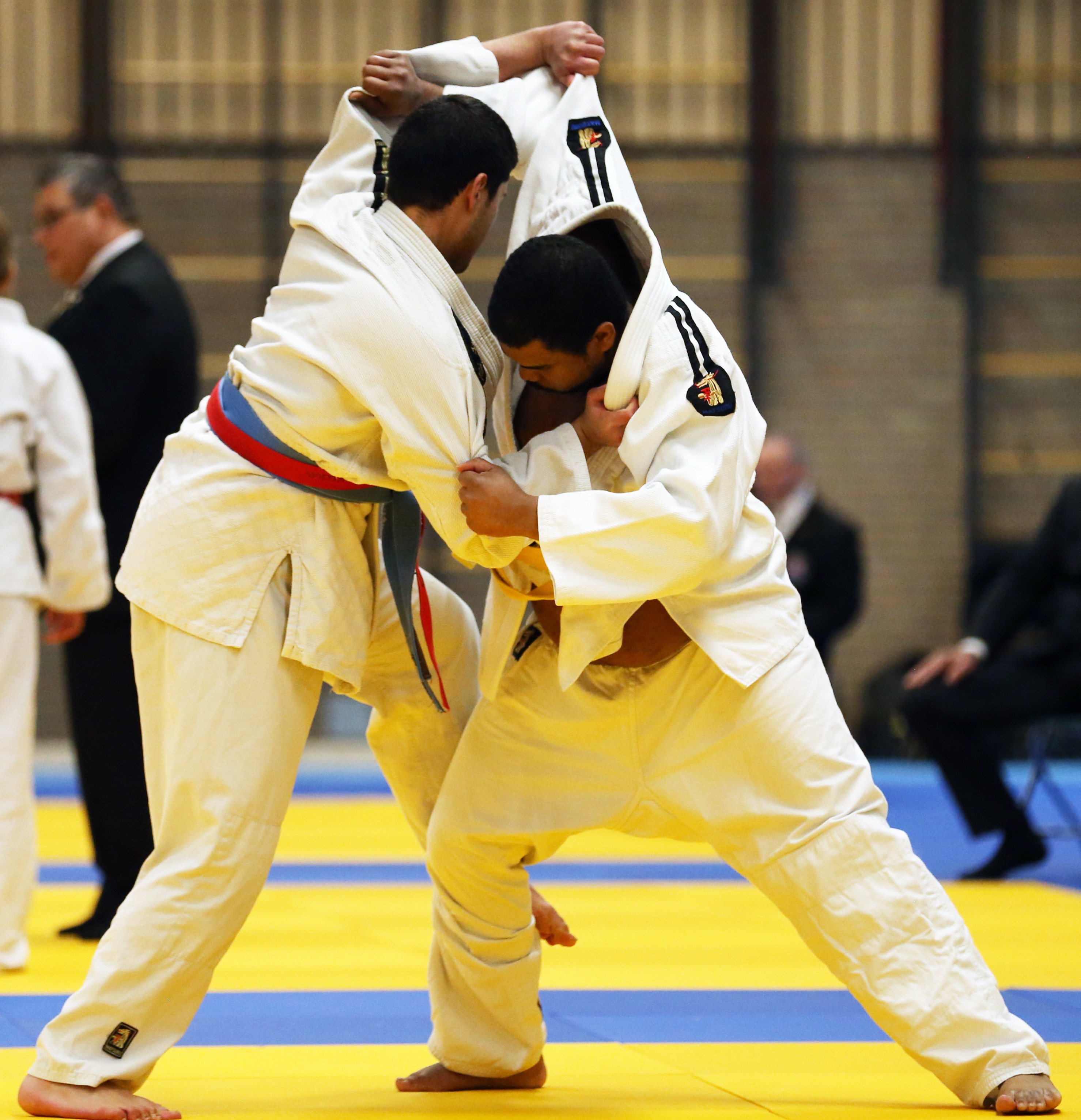 twinkel3.jpg#asset:2908553