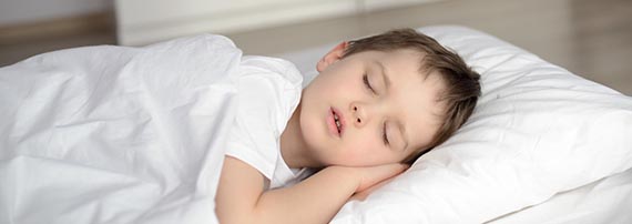 organic buckwheat husk products