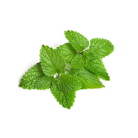 lemon balm pillow