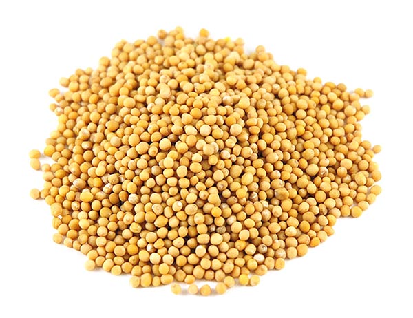 mustard seeds