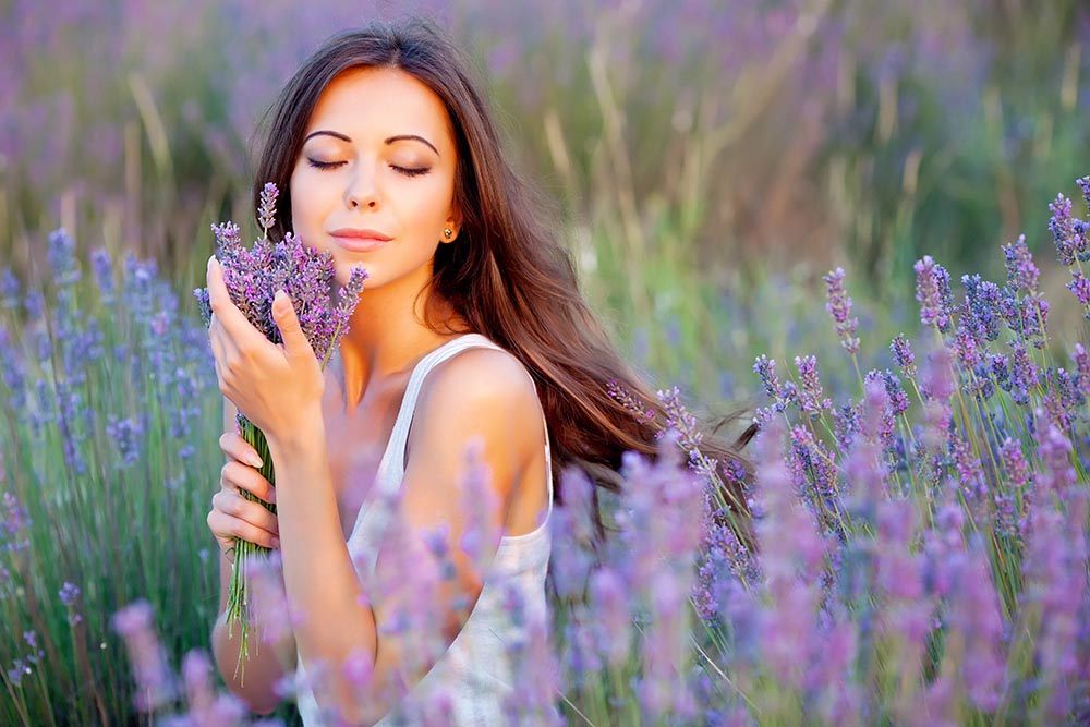healing power of plants