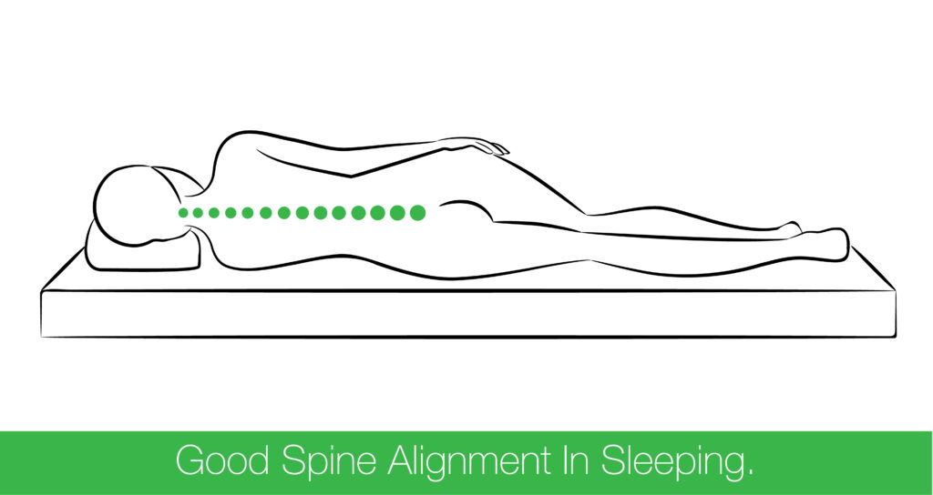 spine alignment in sleep