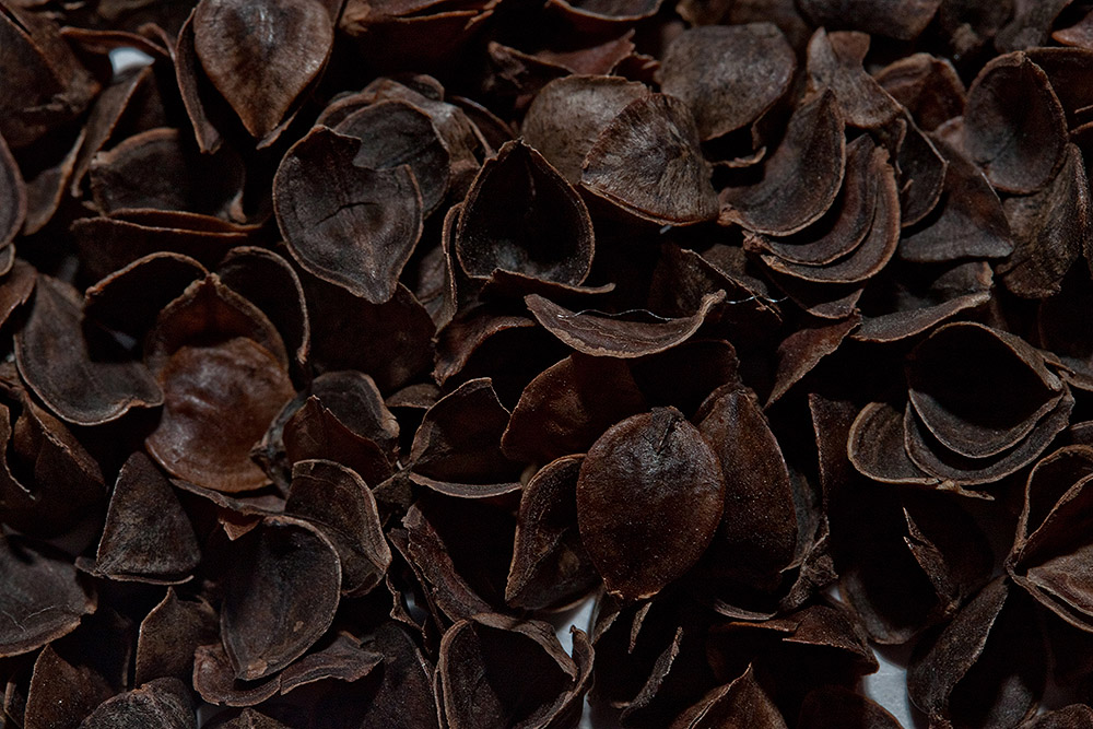 Buckwheat hull mattress a healthy rollable mattress you can travel