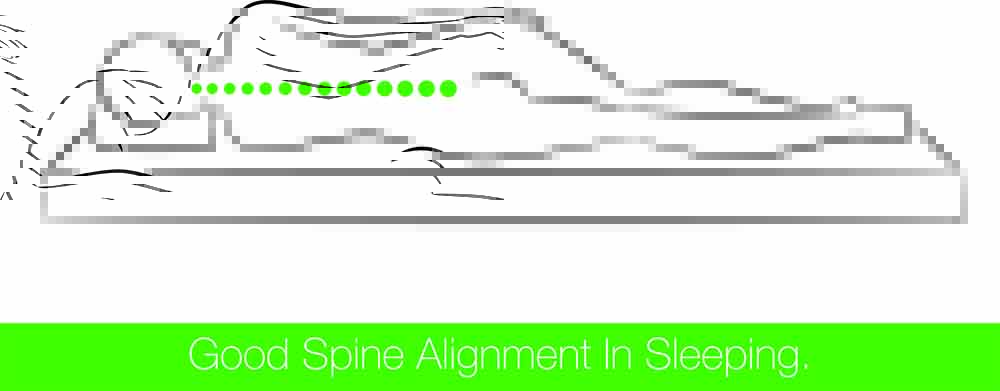 spine alignment in sleep