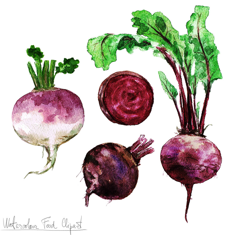 raw beetroots