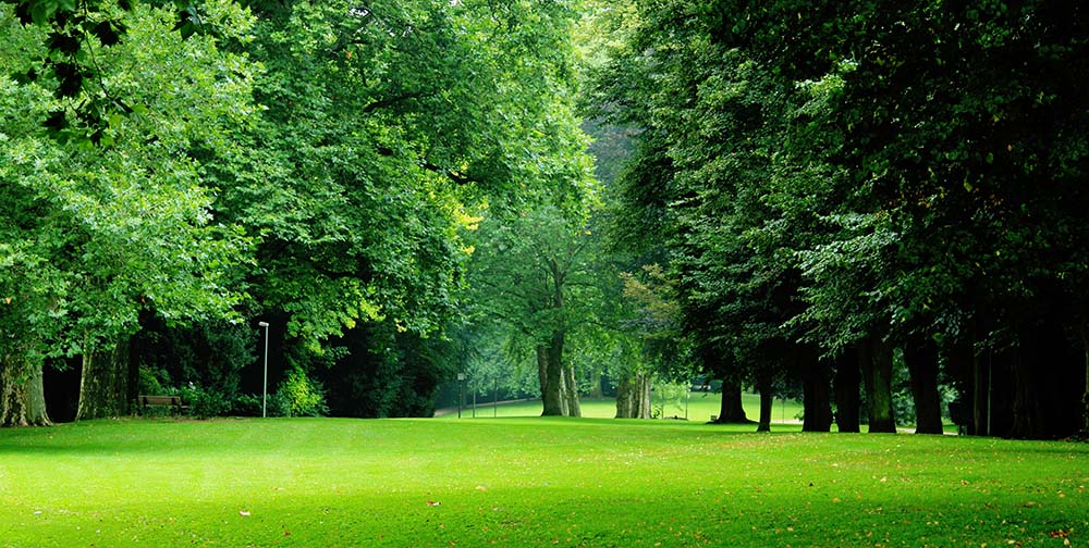 relaxation through deep breathing