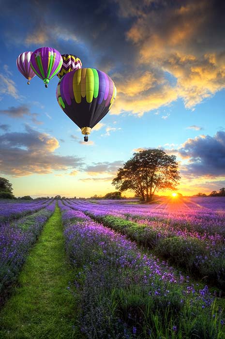 dream, your life is in your hands