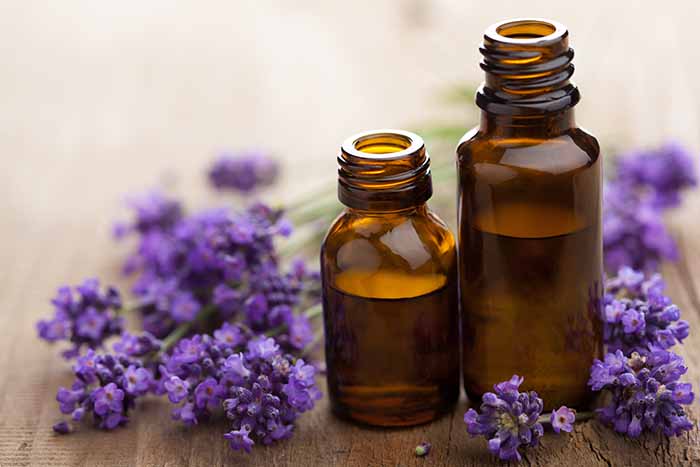 essential lavender oil