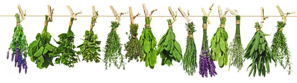 Healing herbs