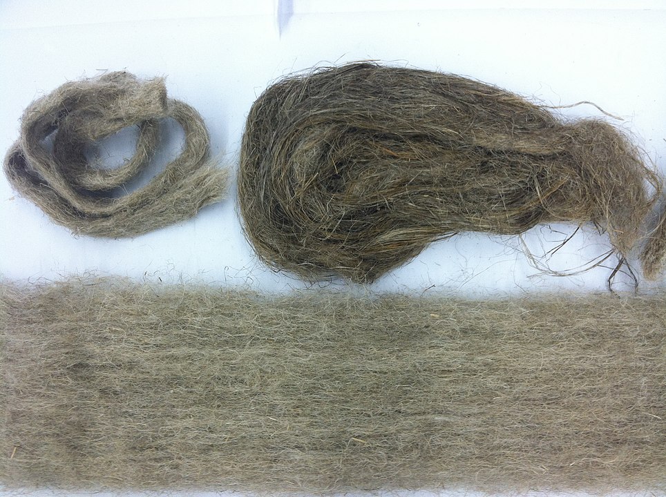Flax fibres