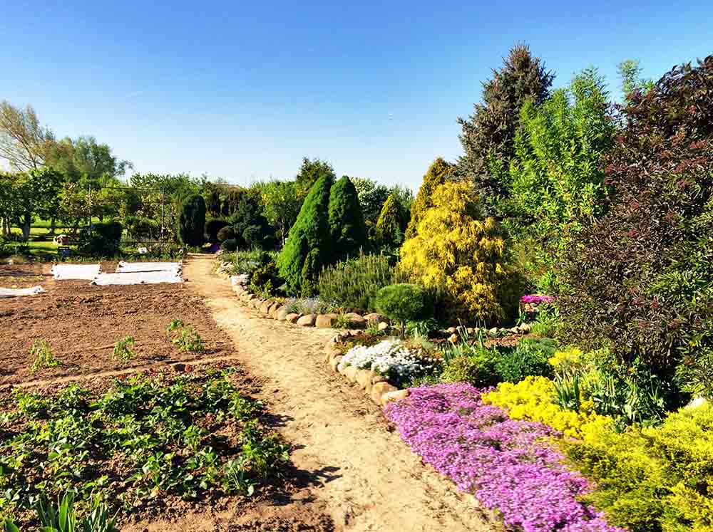 Organic fruits and vegetables