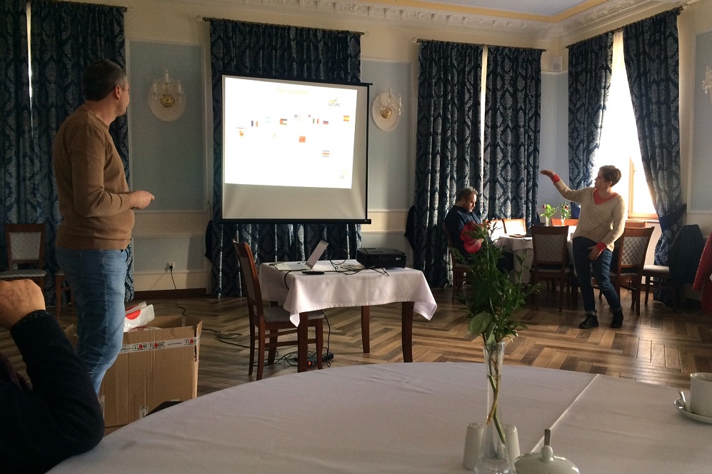 Organic fertilizerfor for plants