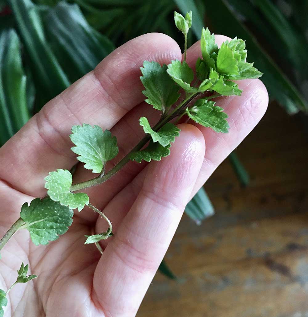 How do you find inner peace