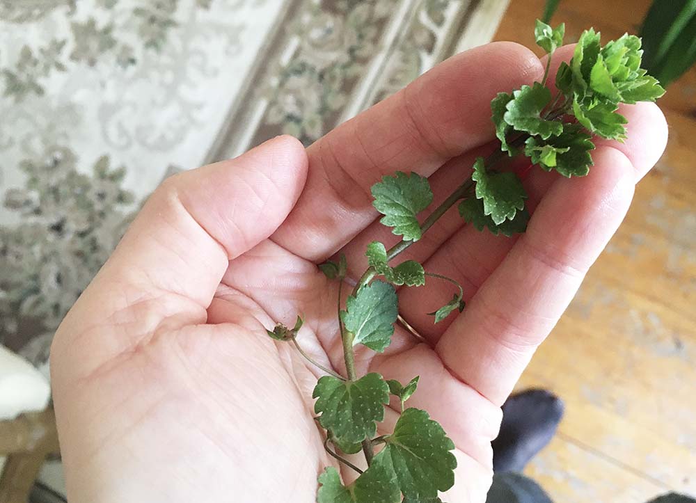 How to find inner peace