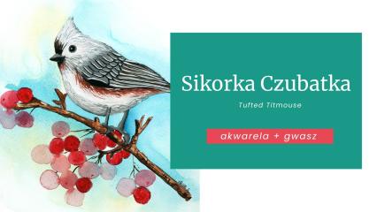 Okładka produktu
