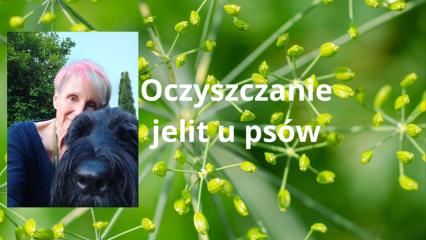 Okładka produktu