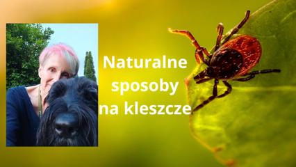 Okładka produktu