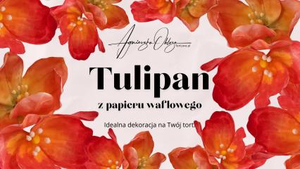 Okładka produktu