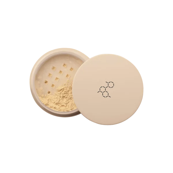 Dermomedica Loose Powder Skin Perfector 6g
