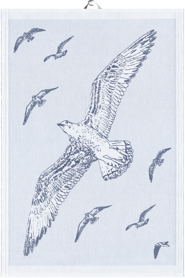 ALBATROSS