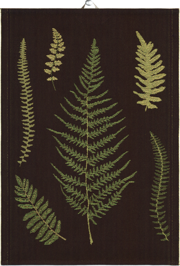 CORA