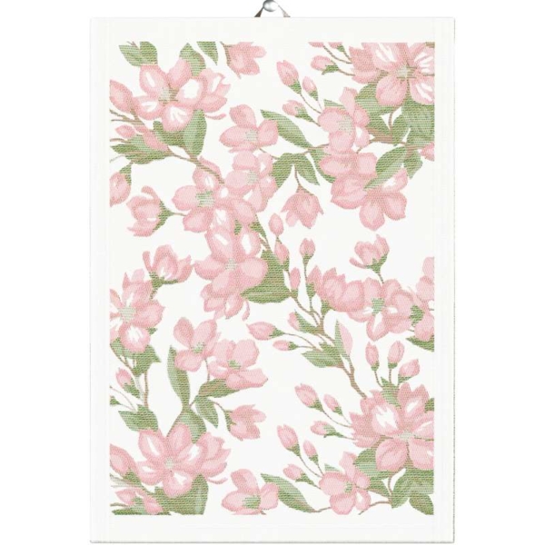 BLOMMIGT