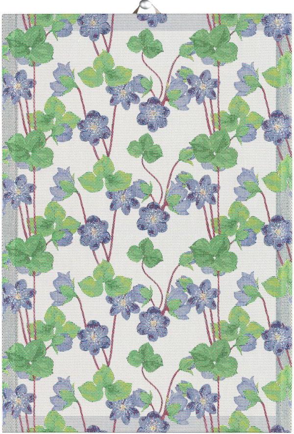 HEPATICA