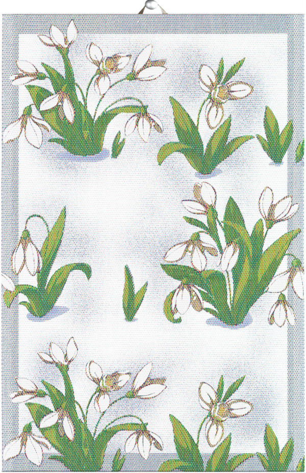 NIVALIS