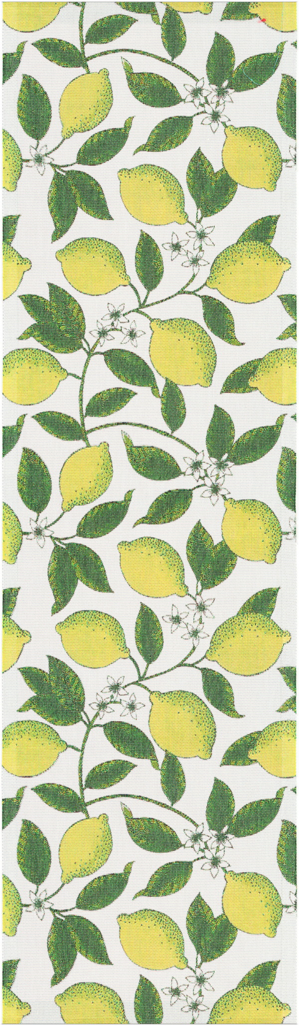 CITRONER