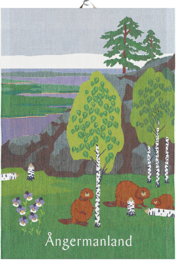ÅNGERMANLAND LANDSKAP