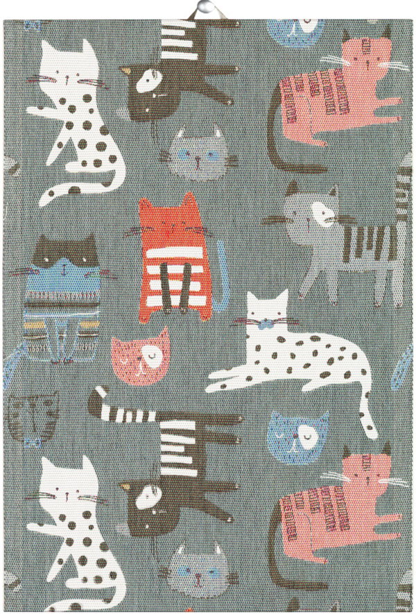 KATTER