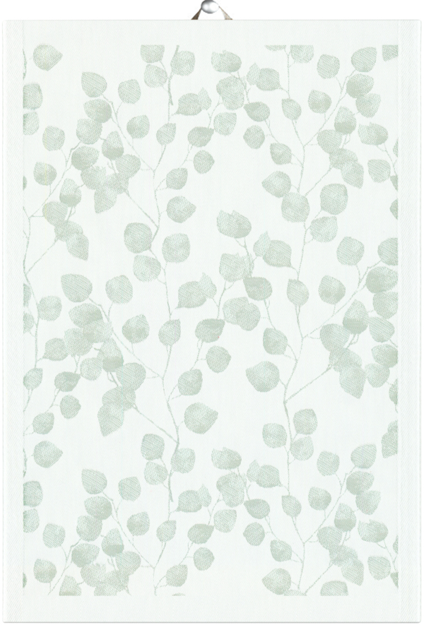 EUCALYPTUS