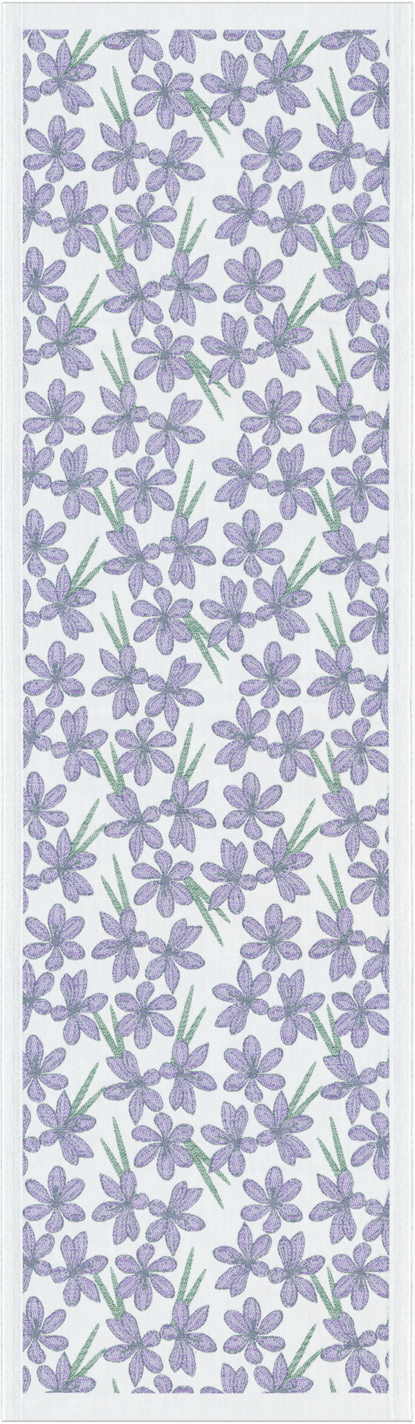 LILA KROKUS