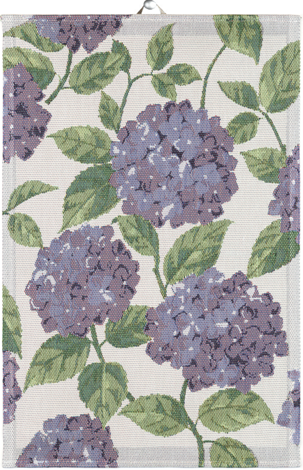 BLÅ HORTENSIA