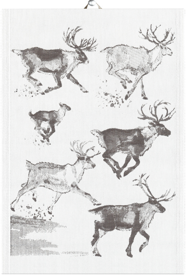 REINDEERS