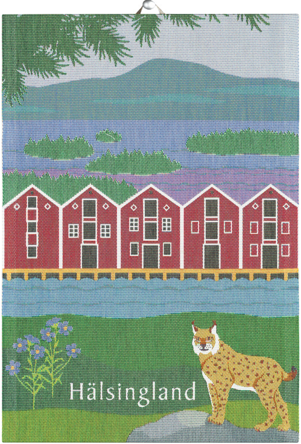 HÄLSINGLAND LANDSKAP