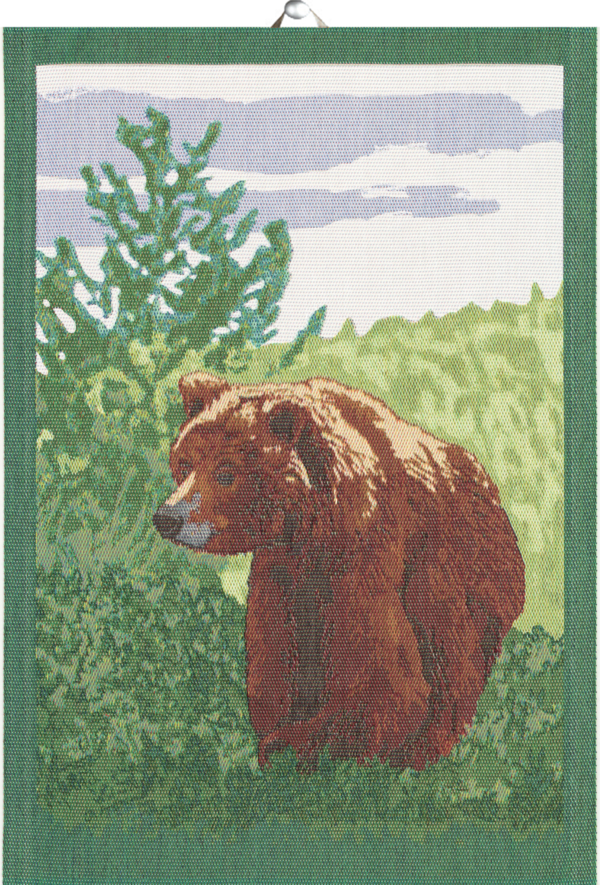 BROWN BEAR