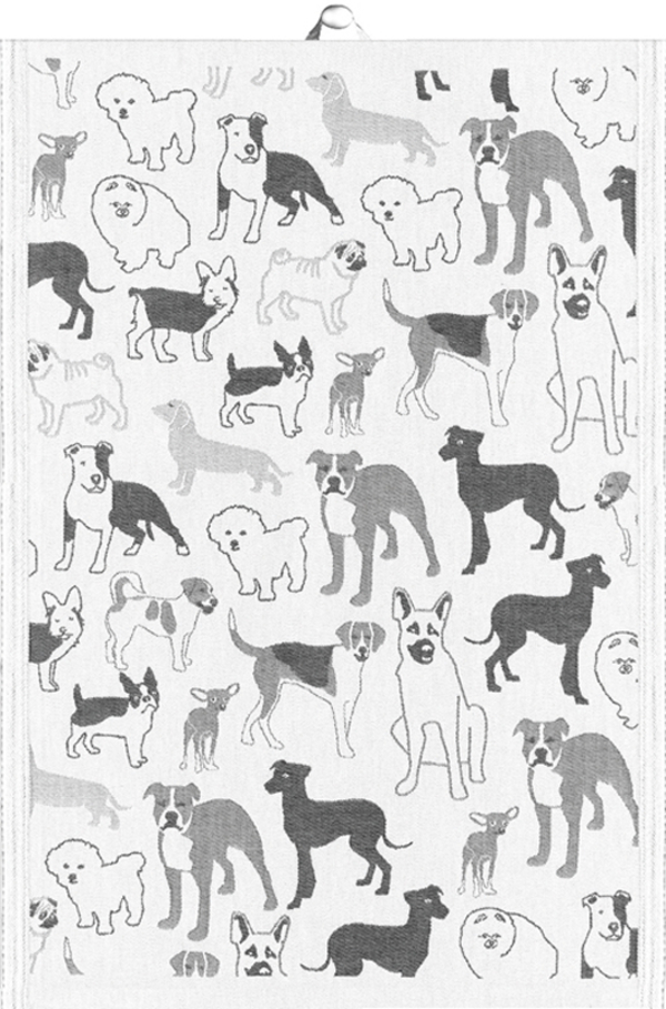 HUSSE