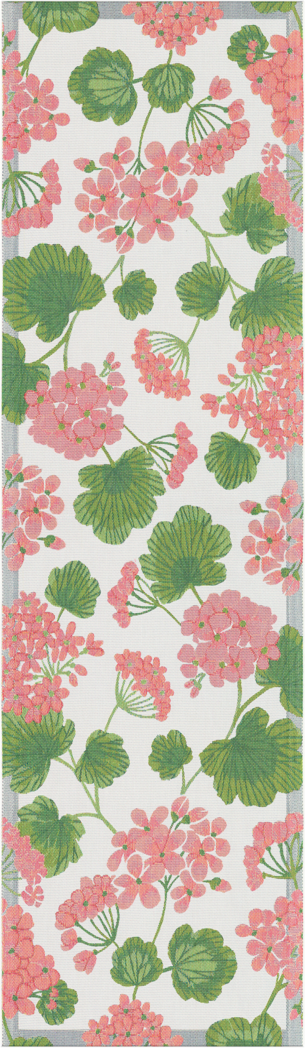 PELARGONIA
