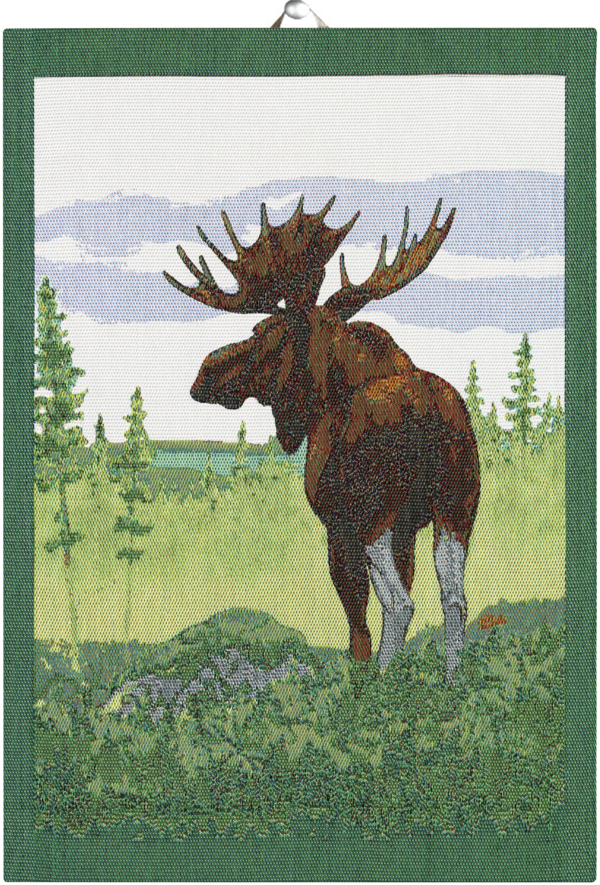 MOOSE