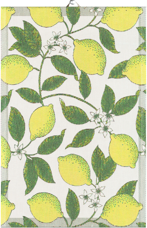 CITRONER