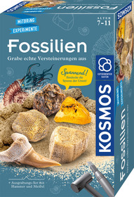 Mitbringexperimente Fossilien mehrfarbig