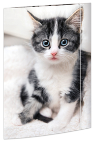 Zeichenmappe A3 Katze