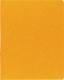 BRUNNEN 106550910  Ringbuch  FACT!plus  gelb