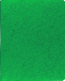 BRUNNEN 106550959  Ringbuch  FACT!plus  grün