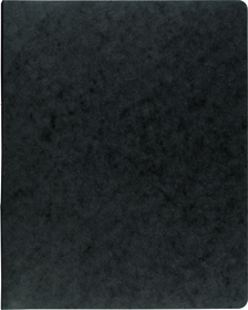 BRUNNEN 106550990  Ringbuch  FACT!plus  schwarz