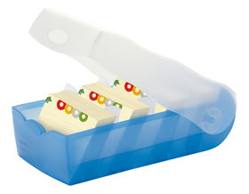 Karteibox CROCO DIN A7 quer mit 5 Stützplatten und 100 Karten, tra...