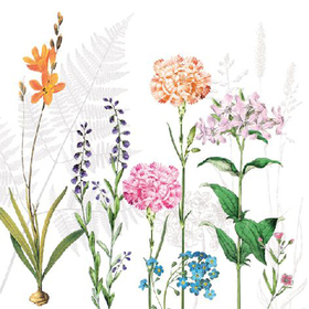 Serviette  Botanica  25 x 25 cm 20er Packung