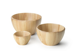 Schüssel, Gummibaum 15,5xH9cm