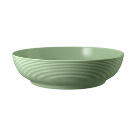 Foodbowl 25 cm